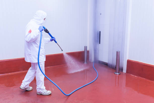 Best Post-Construction Pressure Washing  in Russells Point, OH