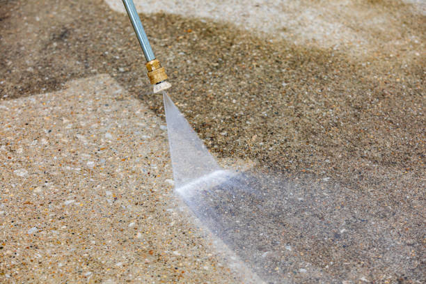 Best Animal Enclosure Cleaning  in Russells Point, OH